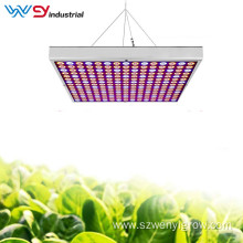 Best Grow Lights 45W Full Spectrum Grow Panel